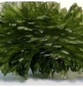 Moldavite*