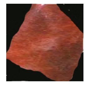 Pierre de Soleil*