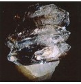 Cristal Elestial* Cristal Elestial*