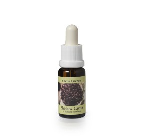 Caralluma Russelliana* (Shadow cactus) élixir 15ml