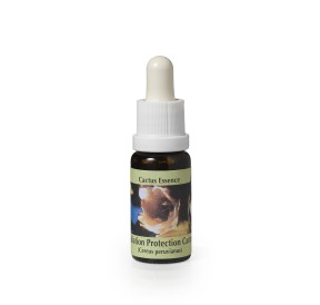Cereus Peruvianus* (Radiation protection cactus) élixir 15ml
