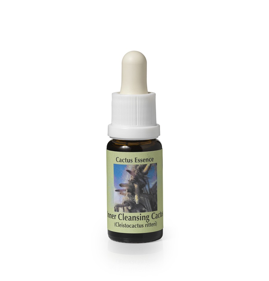 Cleistocactus Ritteri* (Inner Cleansing Cactus) élixir 15ml Cleistocactus Ritteri* (Inner Cleansing Cactus) élixir 15ml