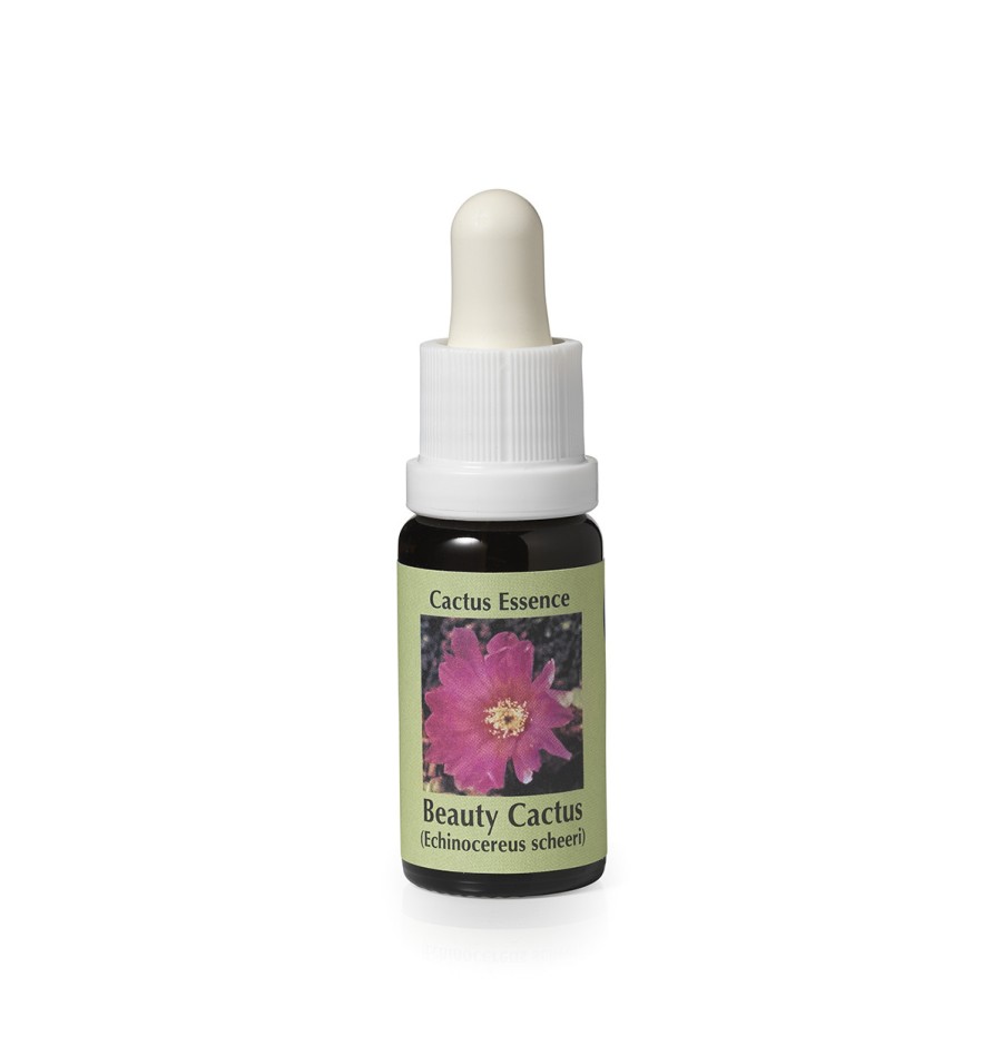 Echinocereus* (Beauty Cactus) élixir 15ml Echinocereus* (Beauty Cactus) élixir 15ml