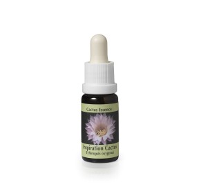 Echinopsis Oxygona* (Inspiration Cactus) élixir 15ml