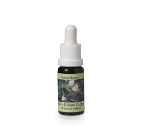 Hylocereus Undatus* (Here and now cactus) élixir 15ml