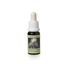 Myrtillocactus Geometrizans* (Blueberry Cactus) élixir 15ml