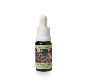 Orbea Variegata* (Life force cactus) élixir 15ml