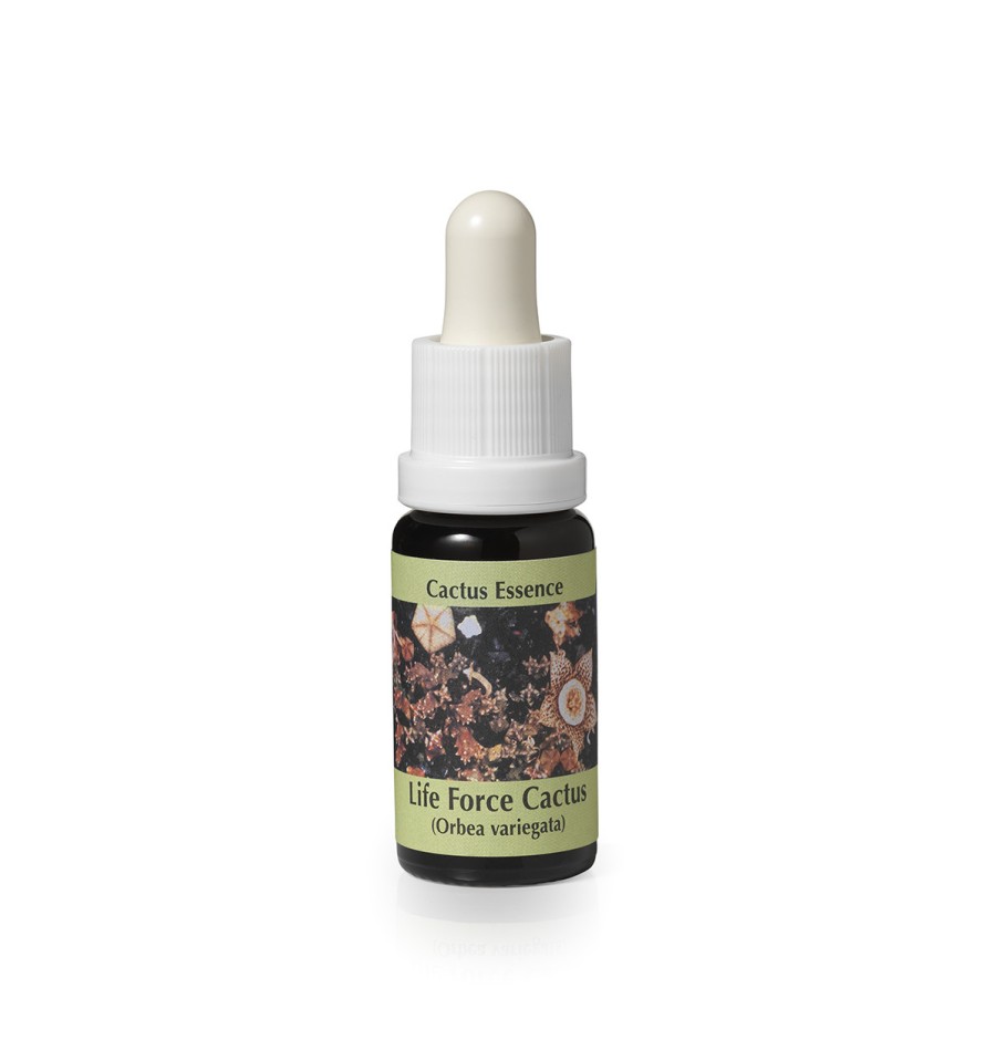 Orbea Variegata* (Life force cactus) élixir 15ml Orbea Variegata* (Life force cactus) élixir 15ml