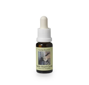Stenocereus Marginatus* (Noble heart cactus) élixir 15ml