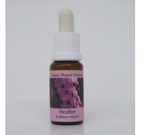 Bruyère/Heather