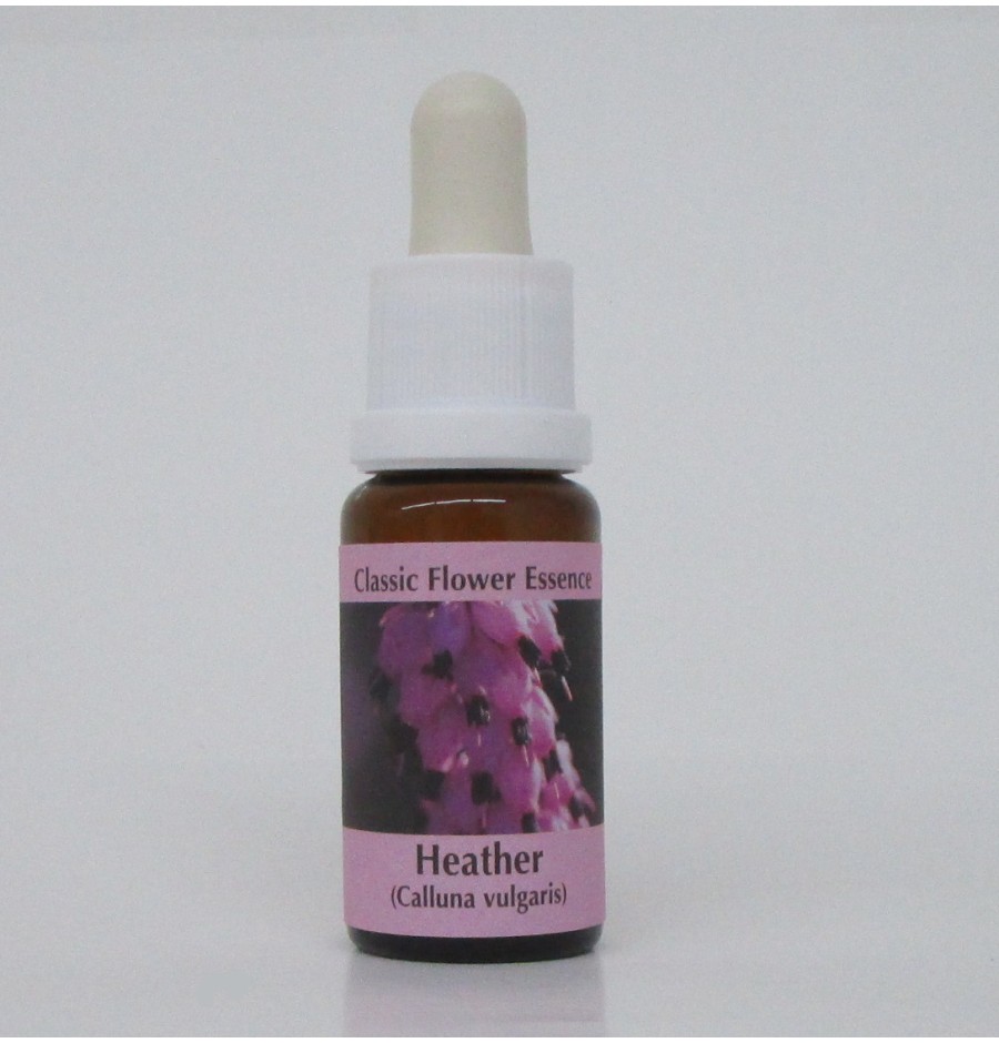 Bruyère/Heather* Bruyère/Heather*