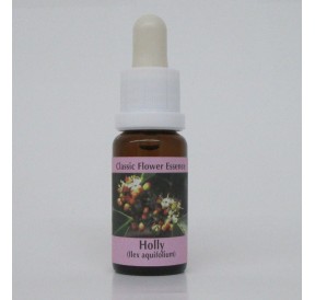 Houx/Holly