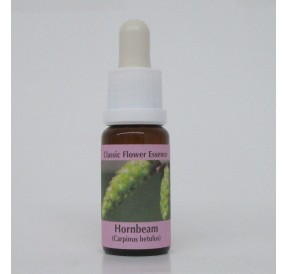 Charme/Hornbeam