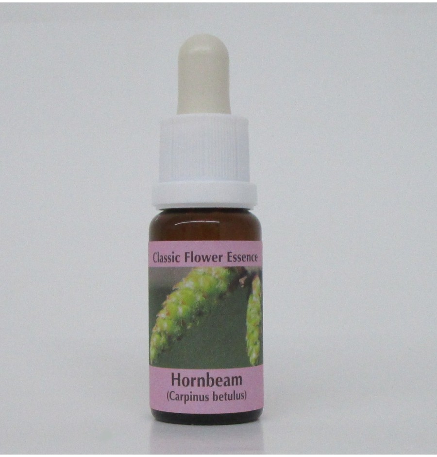 Charme/Hornbeam* Charme/Hornbeam*