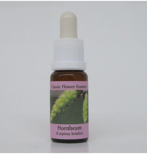 Charme/Hornbeam
