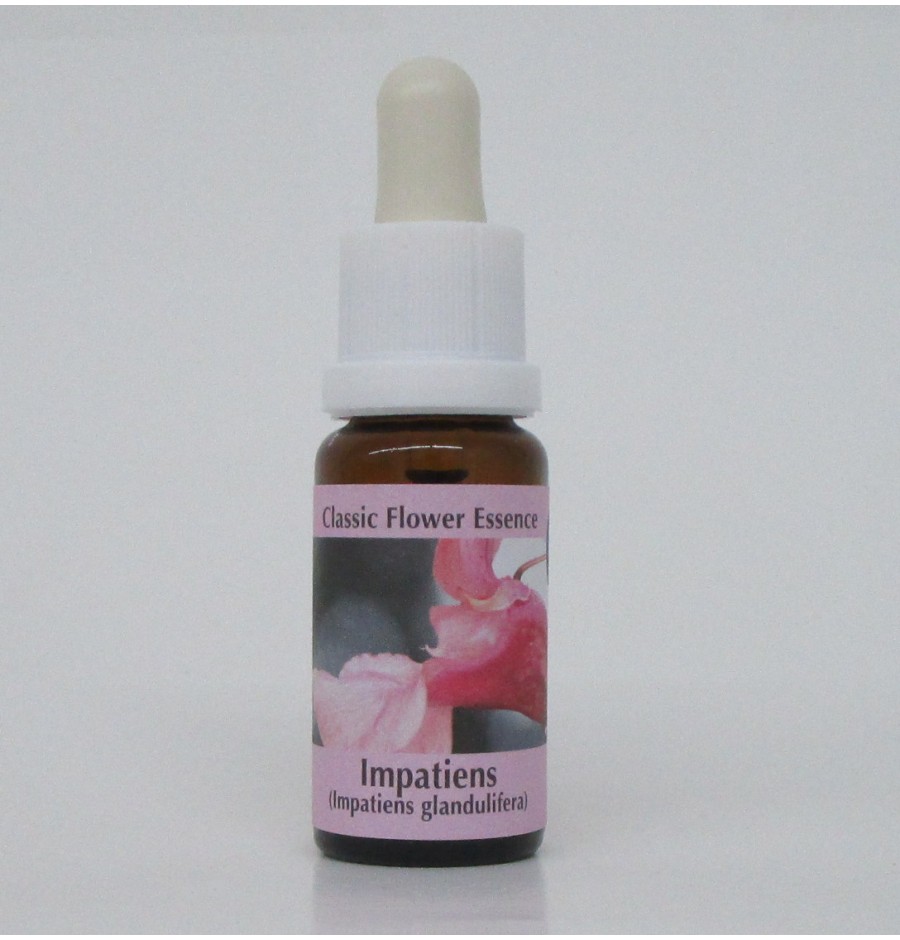 Impatience/Impatiens* Impatience/Impatiens*