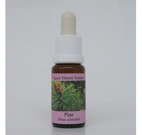 Pin sylvestre/Pine