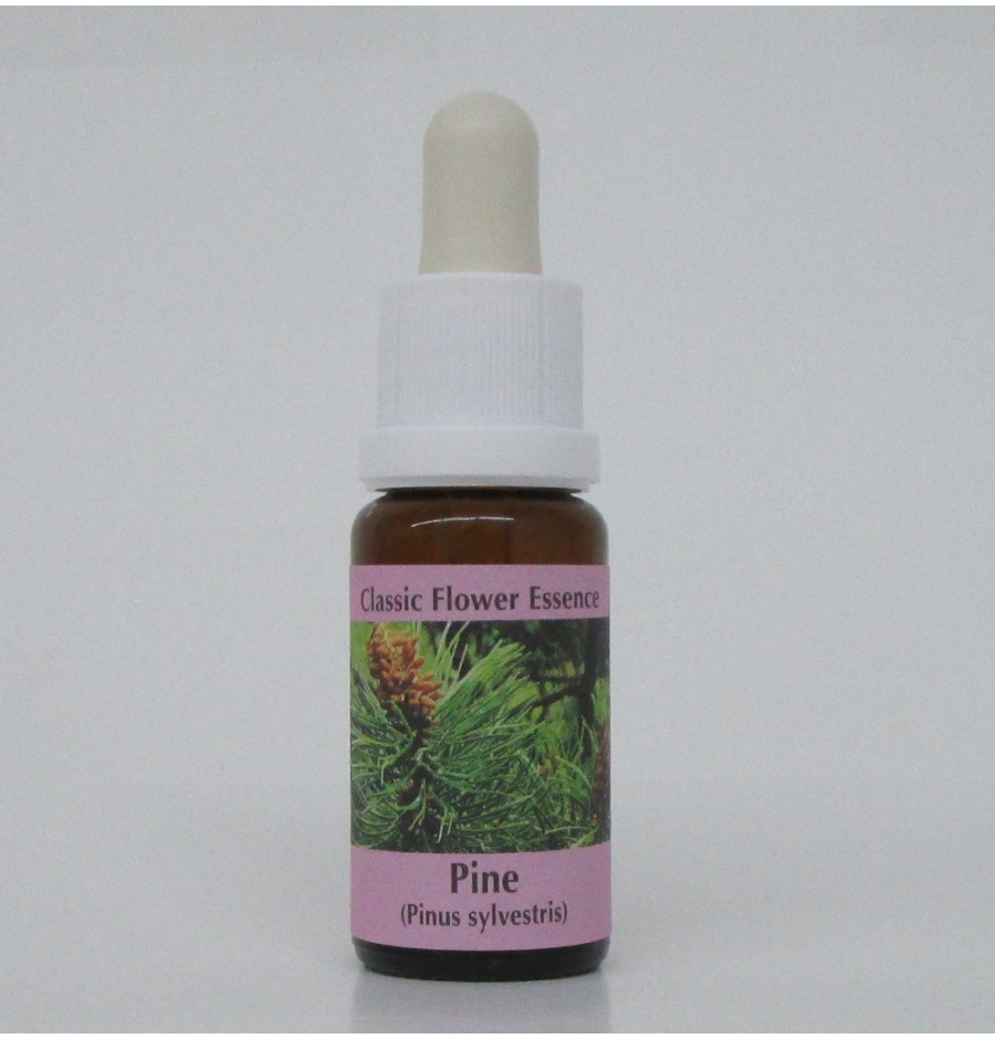 Pin sylvestre/Pine* Pin sylvestre/Pine*