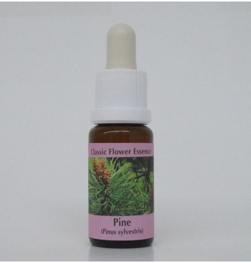 Pin sylvestre/Pine