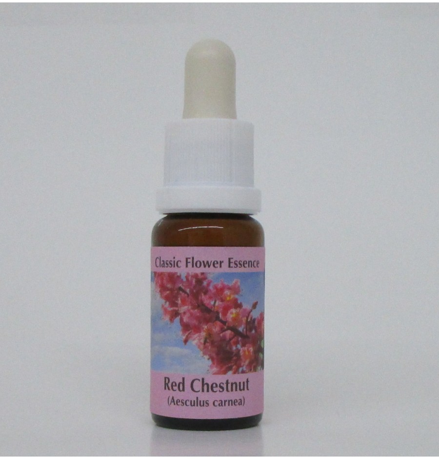 Marronnier Rouge/Red Chestnut*