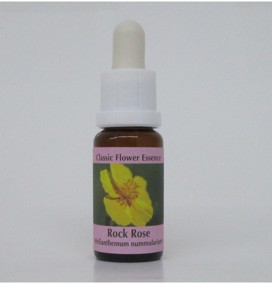 Hélianthème/Rock Rose* Hélianthème/Rock Rose*