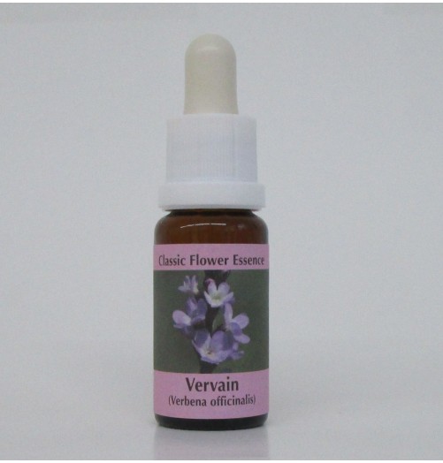 Verveine/Vervain