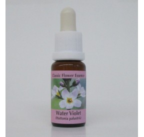 Hottonie des Marais/ Water Viole