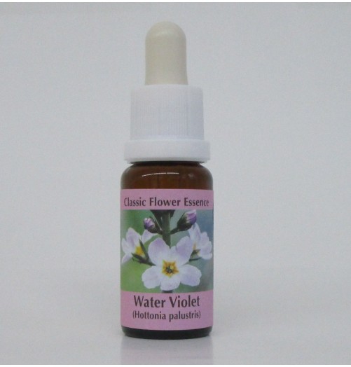 Hottonie des Marais/ Water Viole