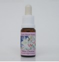 Marronnier Blanc/White Chestnut* Marronnier Blanc/White Chestnut*