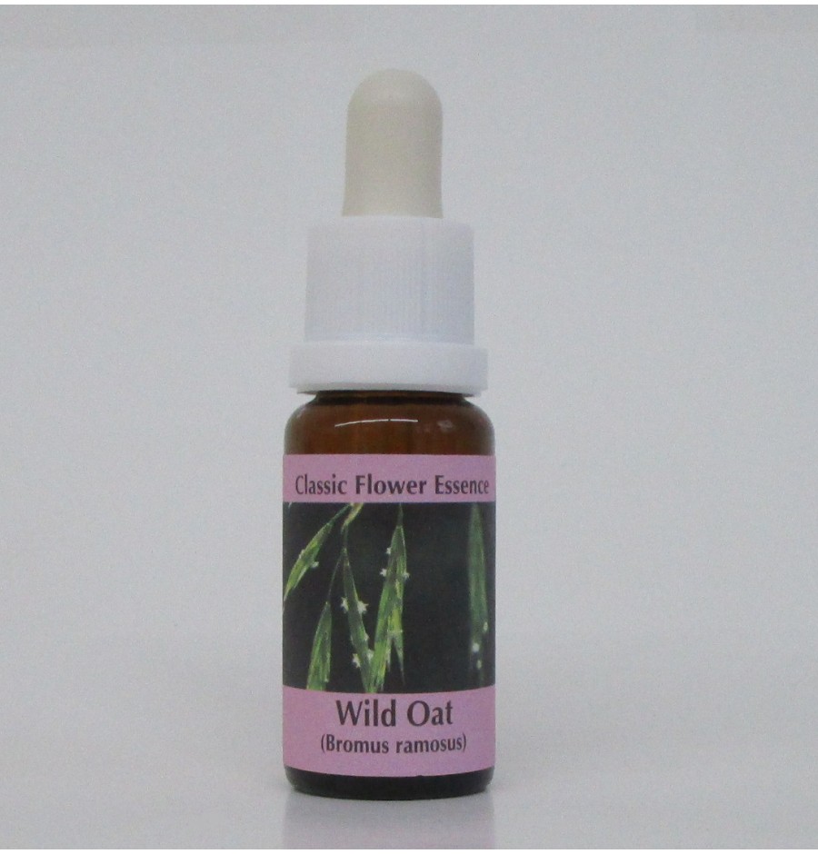 Folle Avoine/Wild Oat* Folle Avoine/Wild Oat*