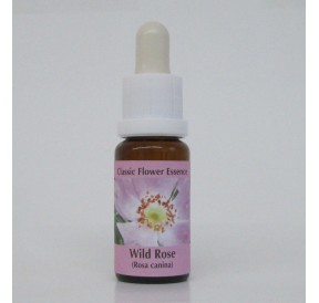 Eglantier/Wild Rose