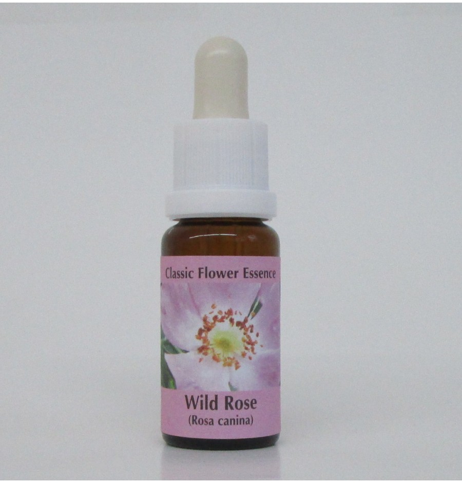 Eglantier/Wild Rose* Eglantier/Wild Rose*
