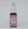 Eglantier/Wild Rose* Eglantier/Wild Rose*
