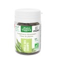Prêle des Champs Bio 40 gélules Prêle des Champs Bio 40 gélules