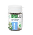 Valériane Bio 40 gélules Valériane Bio 40 gélules