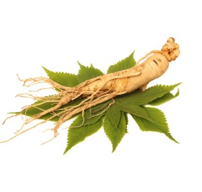 Ginseng Sibérien Bio 40 gélules