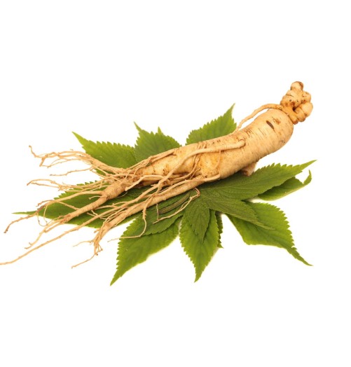 Ginseng Sibérien Bio 40 gélules