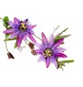 Passiflore Bio 40 gélules