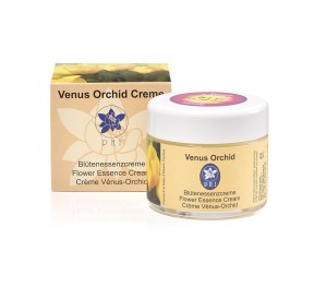 Crème Vénus Orchid