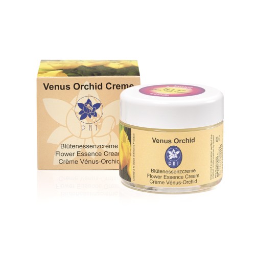 Crème Vénus Orchid