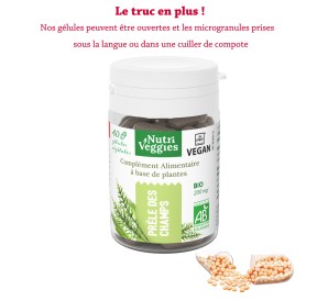 Prêle des Champs Bio végan. Phytothérapie