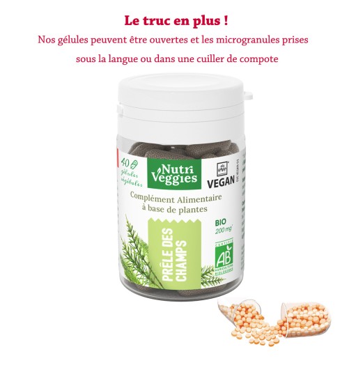 Prêle des Champs Bio végan. Phytothérapie