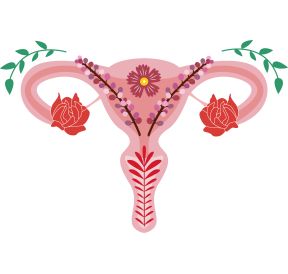 Mon Cycle Zen 30 gélules