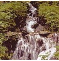 Eau de Roche/Rock Water* Eau de Roche/Rock Water*