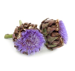 Artichaut Bio Granula Herba 40 gélules