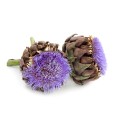 Artichaut Bio Granula Herba 40 gélules