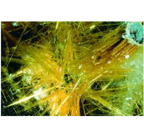 Quartz Rutile élixir de pierres précieuses. KORTE PHI. Andréas KORTE.