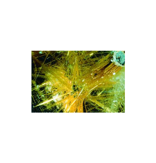 Quartz Rutile élixir de pierres précieuses. KORTE PHI. Andréas KORTE.