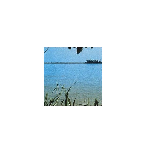 Amazonas*