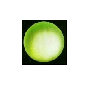 Neptune*